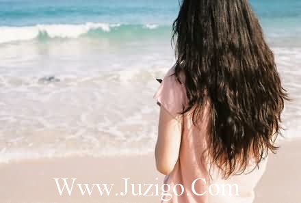 蒲公英的好词好句大全 蒲公英的描写好词好句(精选27句)