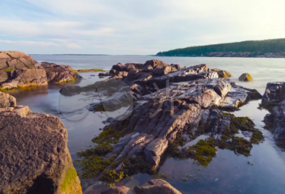 ​人要懂得感恩的说说(人要懂得感恩经典语录)