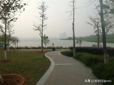 ​绝了！松雅湖湿地公园，这才是大自然的神作！