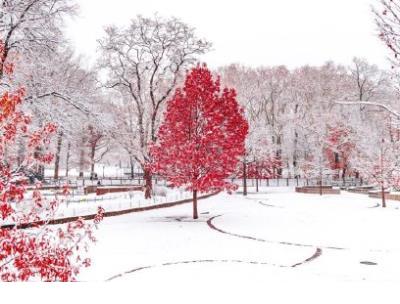 心里憋屈难受的说说