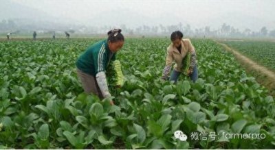 ​合作社赚钱的3大模式