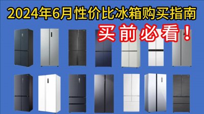 ​2024年度冰箱选购指南：揭秘十大最佳品牌，你的厨房新宠在此！