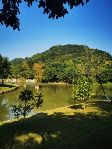 ​龙头山森林公园，一个本地人都很少知道的森林秘境