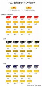 ​解放军十九级军衔排列