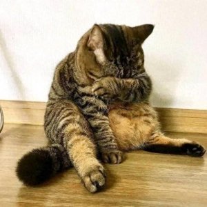 ​38张搞笑图片，专治不开心，看看你被哪张逗笑了？