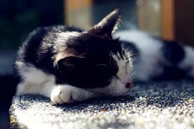 ​台湾寻一处幽静，此生必去的7大绝美小镇！