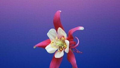 ​人活着，有啥意义？（看完，顿悟）