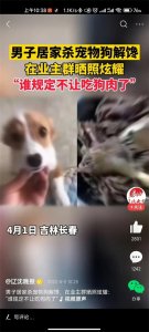 ​为什么“爱狗人士”“爱宠人士”总会受到口诛笔伐？