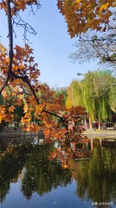 ​石家庄平安公园——初冬赏景好去处~