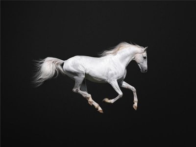 ​这4个车标里都有马，前3个尽显地位财富，第4个却被戏称为驴