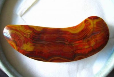 ​带你走进战国红