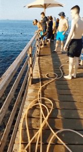 ​血染海面：埃及女游客被鲨鱼活活咬死！美国人却认为鲨鱼不咬人？