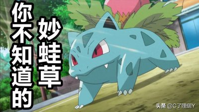 ​你不知道的 妙蛙草 进化后就再也无法用双腿站立