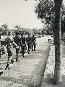 ​一张退役安置卡，让他们留足了退路，我凭借高中文化圆梦军校。