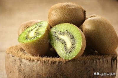 ​现在猕猴桃多少钱一斤？近期价格为何会上涨？后期价格行情如何？