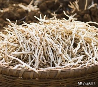 ​河南特产美味，中国仅有的银条菜是怎么种出来的？