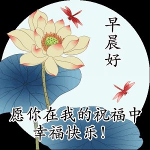 ​微信聊天问候表情包