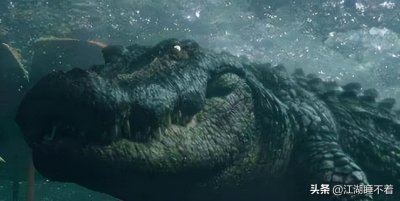 ​非洲最恐怖的传说，巨兽古斯塔夫