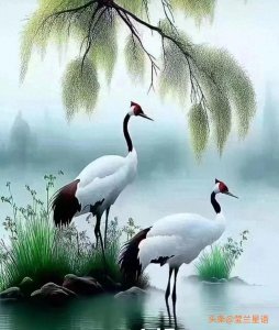 ​你认为自信是一种美丽吗：自信，一种别样的美丽！