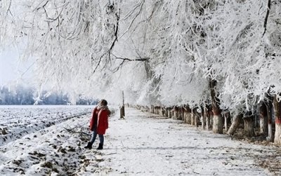 ​交五九即将到来！2024年春节冷到哭？