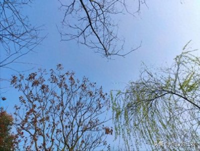 ​农村老人说的“二月十五一日晴”：二月十五不寻常，有啥说法？