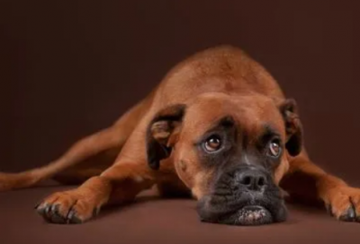 ​唯美励志英文句子