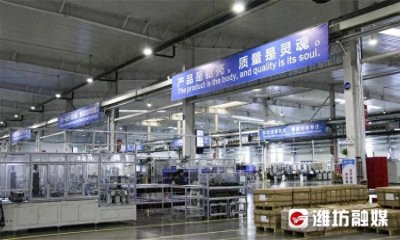 ​潍坊综合保税区：巩固优势，打造高水平开放“前沿阵地”