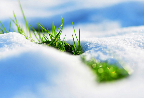 1683476650233804.png image.png