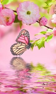 ​50个绝色美人，实在太美了，这是我见过最美的女人