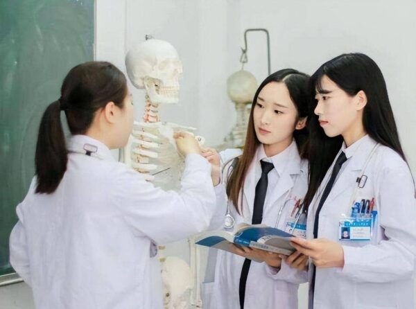 学制是什么意思?(三年制四年制八年制区别)-1