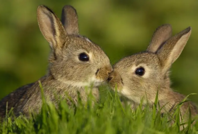 ​有关德育的名言警句 关于德育的名言古诗(精选80句)