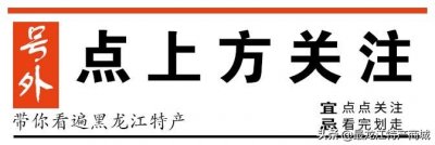 ​野生蓝莓——永冻层上的神奇浆果