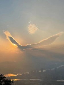 ​大鹏展翅！福州人朋友圈刷屏了