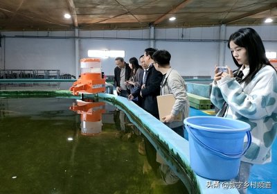 ​2023年青海湖裸鲤1+龄增殖放流鱼种完成专家鉴证