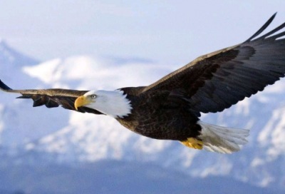 ​关于中元节的诗句有哪些摘录