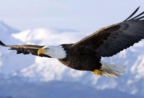 1708298427143698.png image.png