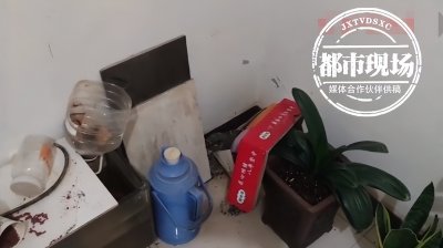 ​房内惊现近2米长大蛇，消防员“硬核”抓蛇