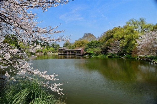 花港观鱼是由花、港、鱼为特色的风景点，也是西湖十景之一