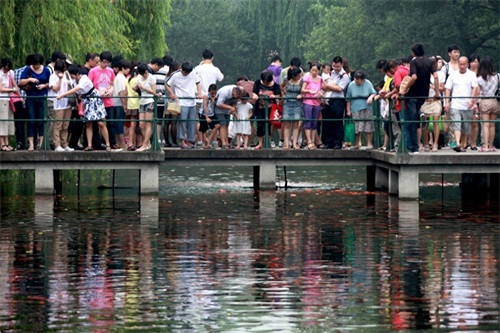 花港观鱼是由花、港、鱼为特色的风景点，也是西湖十景之一