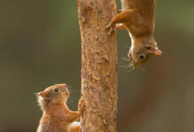 ​高尔基的名言，高尔基名言大全(高尔基名人名言大全)