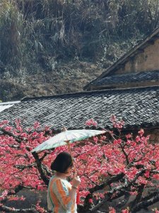 ​连平上坪赏桃花：这里比十里桃园更美，人少景美不花钱