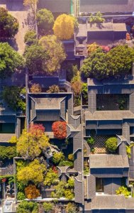 ​苏州环秀山庄：万壑千山、独步江南