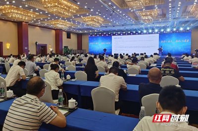 ​总投资177.04亿元 宁乡23个重大产业项目集中签约