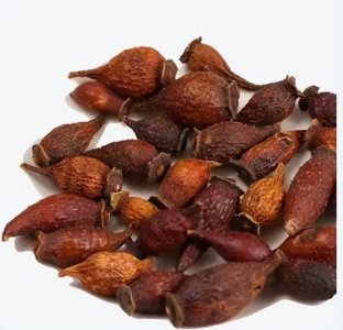 ​每日一味中药——金樱