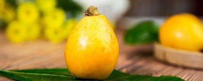 ​枇杷的营养价值及营养成分