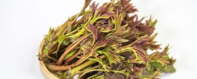 ​香椿的吃法有几种