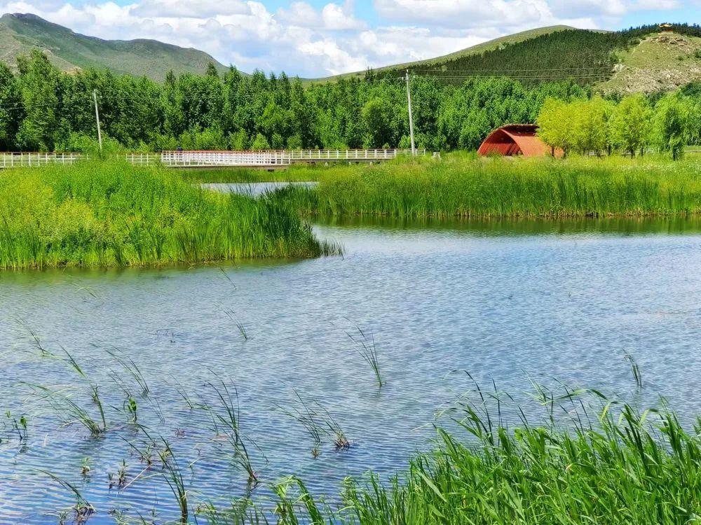 巴林左旗是林东吗(巴林左旗为什么叫林东)