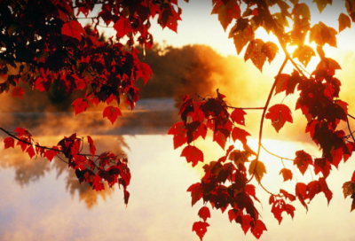 ​一天好心情的唯美句子摘抄大全（精选推荐）