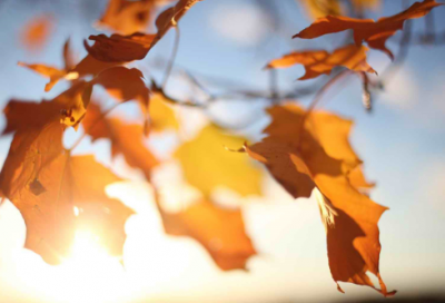 ​2024八月再见九月你好朋友圈文案_2024八月再见九月你好心情说说（精选推荐）