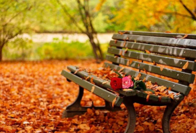 ​关于五一劳动节放假心情祝福说说2024年